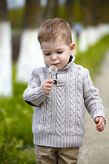 Image showing 2 years old Baby boy with dandelion