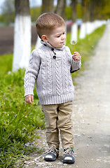 Image showing 2 years old Baby boy with dandelion