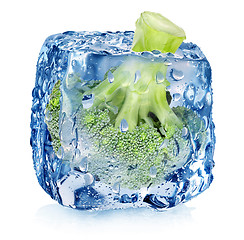 Image showing Broccoli in ice cube