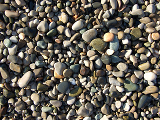 Image showing wet pebbles on the beach of the Black Sea2