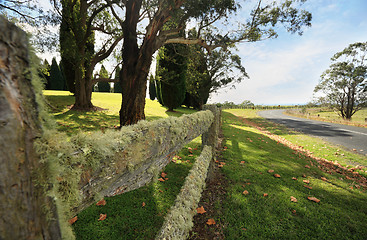 Image showing Beautiful lichen covered fence in the Southern Highlands