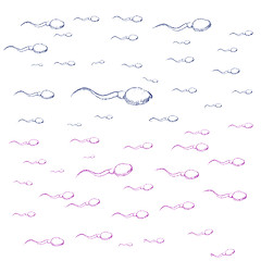 Image showing Illustration of sperm