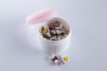 Image showing Daisies in cosmetic cream box