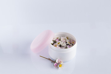 Image showing Daisies in cosmetic cream box