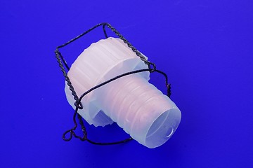 Image showing Plastic Champagne Cork