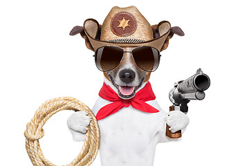 Image showing cowboy dog