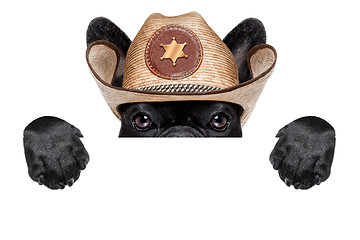 Image showing cowboy dog