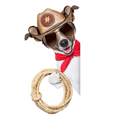 Image showing cowboy dog