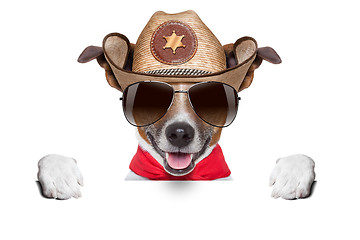 Image showing cowboy dog