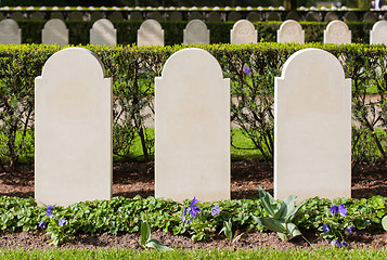 Image showing Rows of tombstones