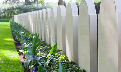 Image showing Rows of tombstones