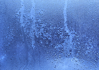 Image showing Frozen water drops on glass