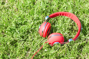 Image showing Colorful red headphones on sunlight glade