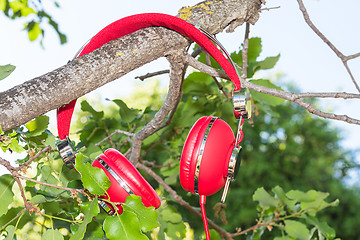 Image showing Vibrant red wired headphones on the branch