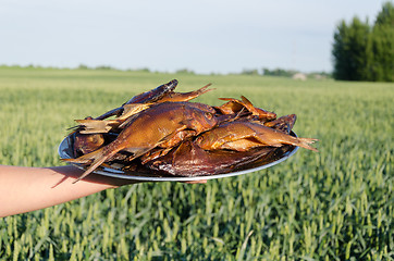 Image showing woman hand holds tray with organic smoked fish