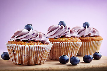 Image showing blueberry cupcakes