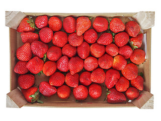 Image showing Strawberries fruits