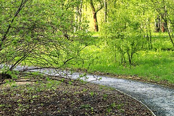 Image showing Moscow Park Sokolniki