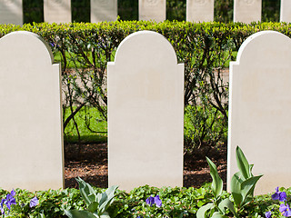 Image showing Rows of tombstones