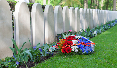 Image showing Rows of tombstones