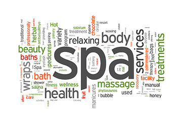 Image showing Spa word cloud vector illustration