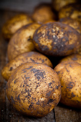 Image showing organic potatoes