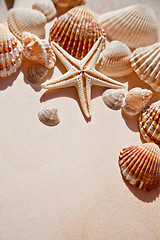 Image showing sea shells and star 