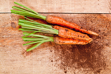 Image showing fresh carrots bunch