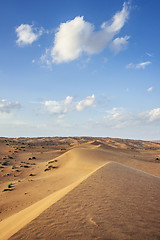 Image showing Desert Wahiba Oman