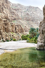 Image showing Wadi Shab Oman