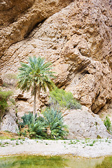 Image showing Wadi Shab Oman