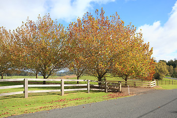 Image showing Autumn countryside