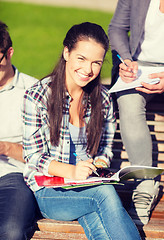 Image showing group of students or teenagers hanging out