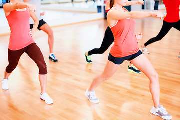 Image showing group of smiling people exercising in the gym