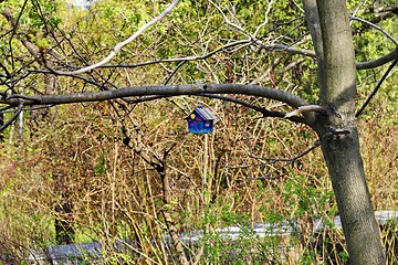 Image showing birdhouse, a home for birds