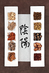 Image showing Yin and Yang Herbal Medicine