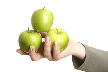 Image showing Female hand with three green apples