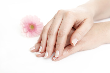 Image showing Female hands after manicure