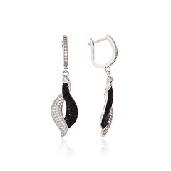 Image showing Silver earrings