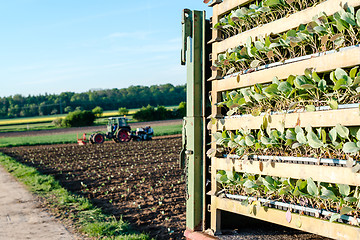 Image showing Agriculture - tractor sowing salad