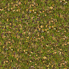 Image showing Dry Leaves on Green Grass. Seamless Texture.