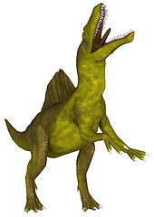 Image showing Dinosaur Spinosaurus