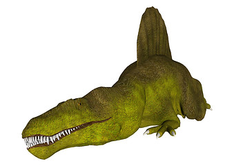 Image showing Dinosaur Spinosaurus