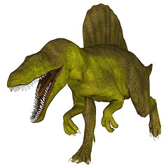 Image showing Dinosaur Spinosaurus