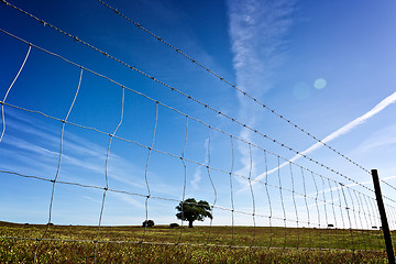 Image showing View through the barbed wire fence