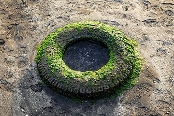 Image showing Old tyre 