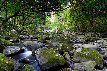 Image showing Cascade falls over mossy rocks