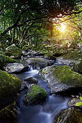 Image showing Cascade falls over mossy rocks