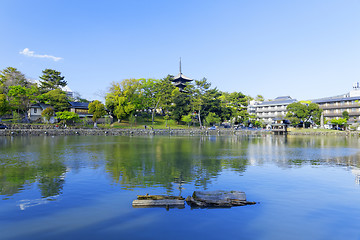 Image showing Nara, Japan at Sarusawa Pond. 