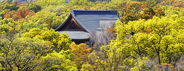 Image showing Temple in forest